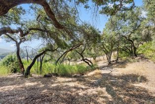 Single Family Residence, 1860 Mark West Springs road, Santa Rosa, CA 95404 - 62