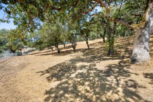 Single Family Residence, 1860 Mark West Springs road, Santa Rosa, CA 95404 - 52