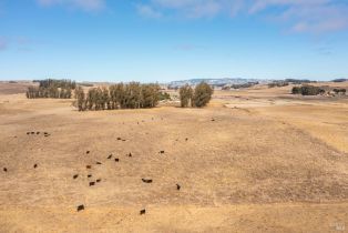 Single Family Residence,  Tomales road, Petaluma, CA 94952 - 20