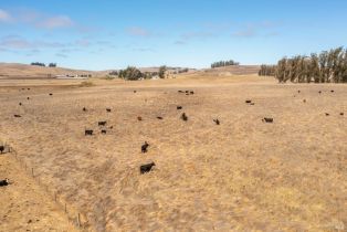 Single Family Residence,  Tomales road, Petaluma, CA 94952 - 19