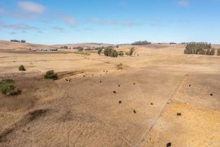 Single Family Residence,  Tomales road, Petaluma, CA 94952 - 22