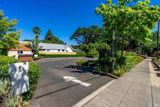 Single Family Residence,  Lincoln avenue, Calistoga, CA 94515 - 40