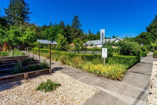 Single Family Residence,  Lincoln avenue, Calistoga, CA 94515 - 42