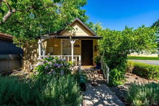 Single Family Residence,  Lincoln avenue, Calistoga, CA 94515 - 35