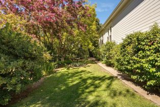 Single Family Residence,  1st street, Napa, CA 94559 - 6