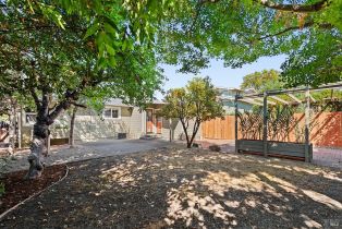 Single Family Residence,  Plaza street, Healdsburg, CA 95448 - 31