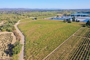 Single Family Residence,  Foreman lane, Healdsburg, CA 95448 - 14