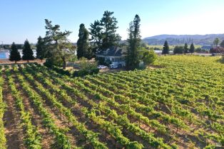 Single Family Residence,  Foreman lane, Healdsburg, CA 95448 - 20