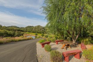 Agriculture,  Dutcher Creek road, Cloverdale, CA 95425 - 32