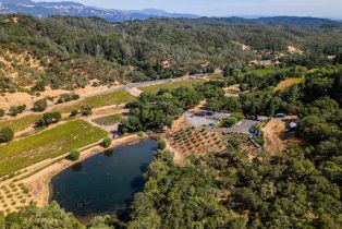 Agriculture,  Dutcher Creek road, Cloverdale, CA 95425 - 40