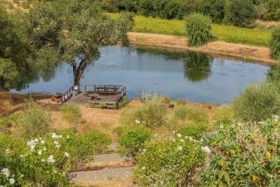 Agriculture,  Dutcher Creek road, Cloverdale, CA 95425 - 25