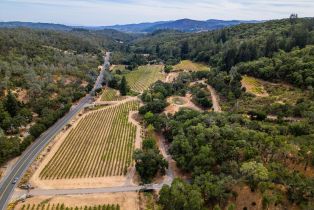 Agriculture,  Dutcher Creek road, Cloverdale, CA 95425 - 36