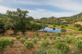 Agriculture,  Dutcher Creek road, Cloverdale, CA 95425 - 31