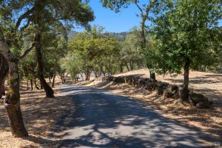 Residential Acreage, 1860 Mark West Springs road, Santa Rosa, CA 95404 - 3