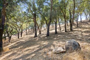 Residential Acreage, 1860 Mark West Springs road, Santa Rosa, CA 95404 - 55