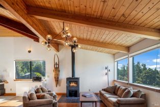 Single Family Residence,  Conifer Close none, Sea Ranch, CA 95497 - 28