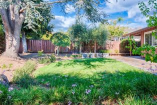 Single Family Residence,  Old Oak lane, Santa Rosa, CA 95409 - 33