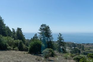 Single Family Residence,  Lupine Close none, Sea Ranch, CA 95497 - 5