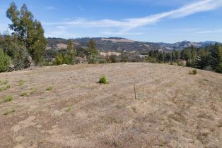 Residential Acreage,  Hidden Hills drive, Santa Rosa, CA 95404 - 29