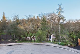 Residential Lot,  Llyn Glaslyn place, Santa Rosa, CA 95403 - 2