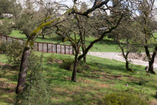 Residential Lot,  Llyn Glaslyn place, Santa Rosa, CA 95403 - 15