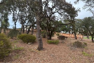 Residential Lot,  Llyn Glaslyn place, Santa Rosa, CA 95403 - 10