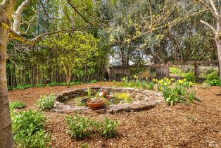 Single Family Residence,  Robinson road, Sonoma, CA 95476 - 53