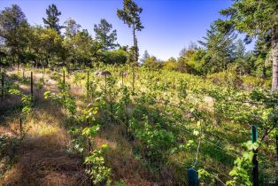 Single Family Residence,  Quail court, Santa Rosa, CA 95404 - 80