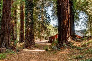 Single Family Residence,  Felta road, Healdsburg, CA 95448 - 8