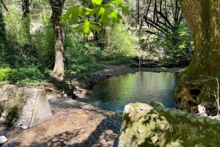 Single Family Residence,  Felta road, Healdsburg, CA 95448 - 29