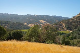 Agriculture,  Quail Ridge drive, Napa, CA 94558 - 36