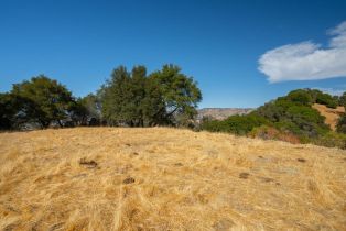 Agriculture,  Quail Ridge drive, Napa, CA 94558 - 43