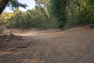 Agriculture,  Quail Ridge drive, Napa, CA 94558 - 60