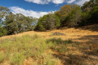 Agriculture,  Quail Ridge drive, Napa, CA 94558 - 29