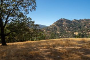 Agriculture,  Quail Ridge drive, Napa, CA 94558 - 31