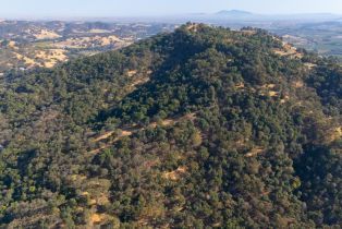 Agriculture,  Quail Ridge drive, Napa, CA 94558 - 18