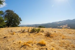 Agriculture,  Quail Ridge drive, Napa, CA 94558 - 39