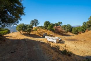 Agriculture,  Quail Ridge drive, Napa, CA 94558 - 48