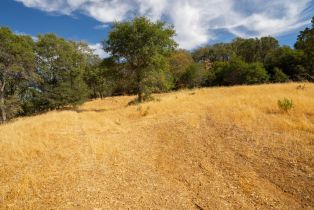 Agriculture,  Quail Ridge drive, Napa, CA 94558 - 27