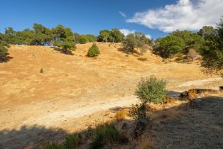 Agriculture,  Quail Ridge drive, Napa, CA 94558 - 49