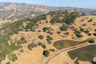 Agriculture,  Quail Ridge drive, Napa, CA 94558 - 10