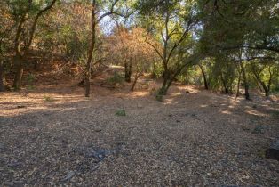 Agriculture,  Quail Ridge drive, Napa, CA 94558 - 57