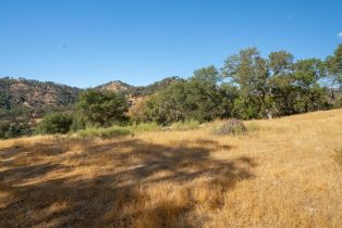 Agriculture,  Quail Ridge drive, Napa, CA 94558 - 30