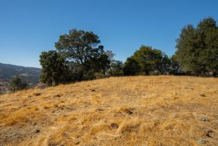 Agriculture,  Quail Ridge drive, Napa, CA 94558 - 44