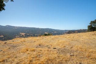 Agriculture,  Quail Ridge drive, Napa, CA 94558 - 40