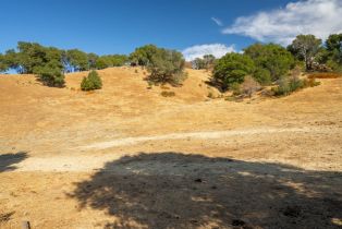 Agriculture,  Quail Ridge drive, Napa, CA 94558 - 50