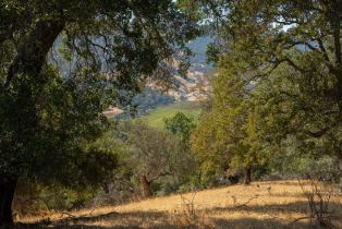 Agriculture,  Quail Ridge drive, Napa, CA 94558 - 46