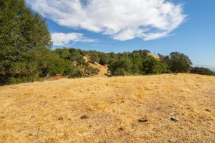 Agriculture,  Quail Ridge drive, Napa, CA 94558 - 47