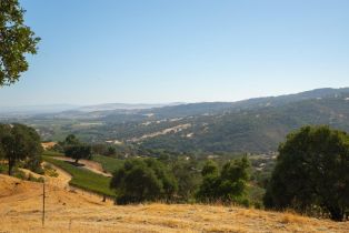 Agriculture,  Quail Ridge drive, Napa, CA 94558 - 41