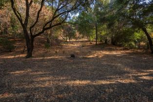 Agriculture,  Quail Ridge drive, Napa, CA 94558 - 54